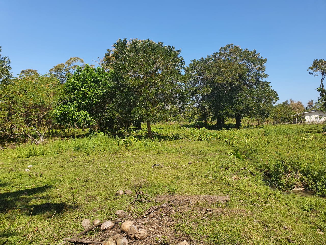 Remate terreno en Chachauala