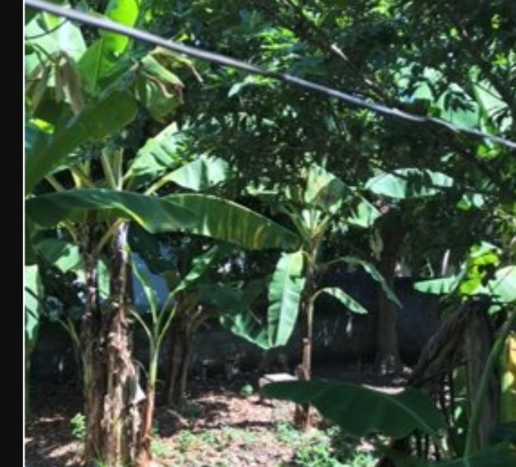 La Ceiba, Atlántida terreno en venta colonia el dantillo