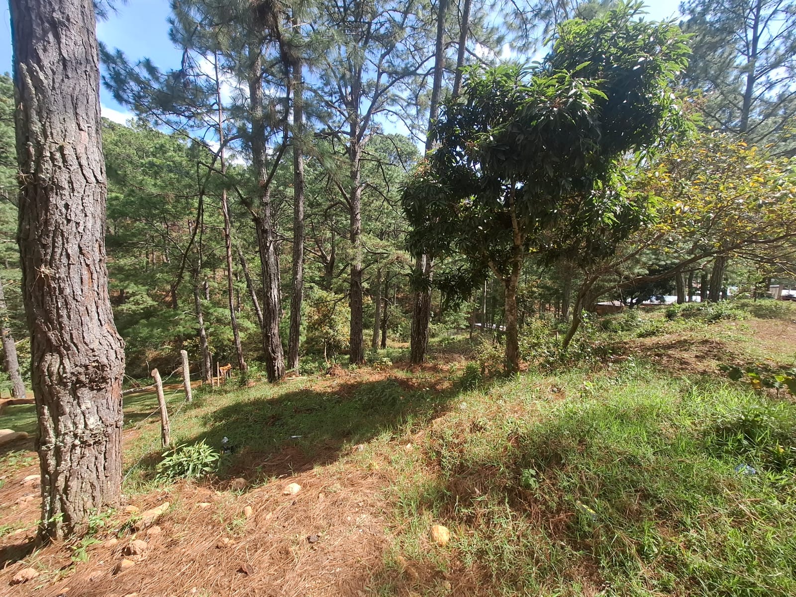 Subastas & Remates Honduras